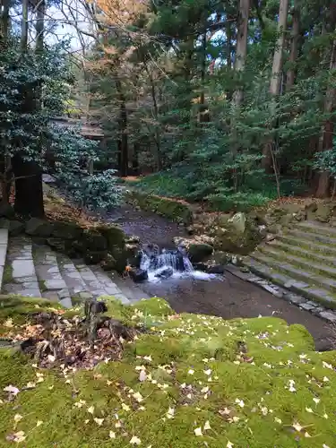 彌彦神社の庭園