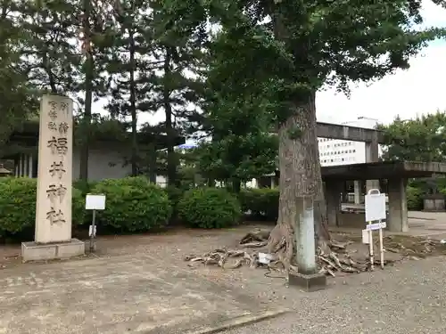 福井神社の建物その他