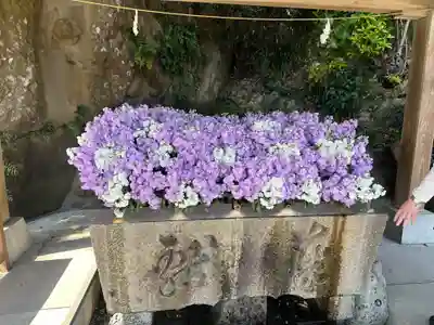 鵜戸神宮(宮崎県)