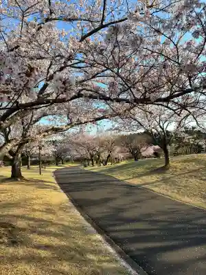 東本願寺本廟 牛久浄苑（牛久大仏）の{uncategorized: "未分類", other: "その他", undefined: "問題あり", building: "その他建物", grave: "お墓", sacred_gate: "鳥居", guardian: "狛犬", statue: "像", buddha: "仏像", history: "歴史", nature: "自然", garden: "庭園", animal: "動物", pagoda: "塔", temizu: "手水舎", mountain_gate: "山門・神門", sanctuary: "本殿・本堂", subordinate: "末社・摂社", art: "芸術", scenery: "景色", jizo: "地蔵", ema: "絵馬", goshuin: "御朱印", omikuji: "おみくじ", items: "授与品その他", amulet: "お守り", goshuincho: "御朱印帳", eats: "食事", festival: "お祭り", votive_dance: "神楽", shichigosan: "七五三参", wedding: "結婚式", experience: "体験その他", initially: "初詣", around: "周辺", anti_infection: "感染症対策"}