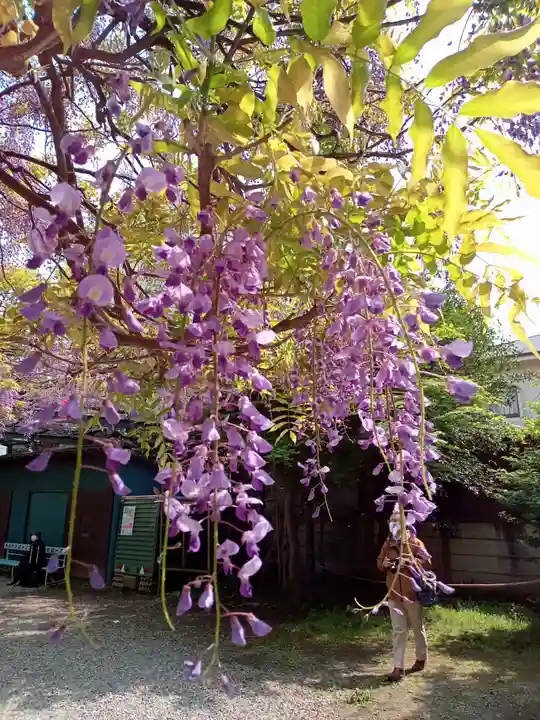 國領神社(東京都)