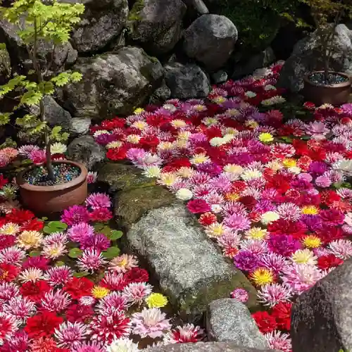 岡寺（龍蓋寺）(奈良県)