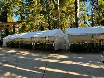 穂高神社本宮(長野県)