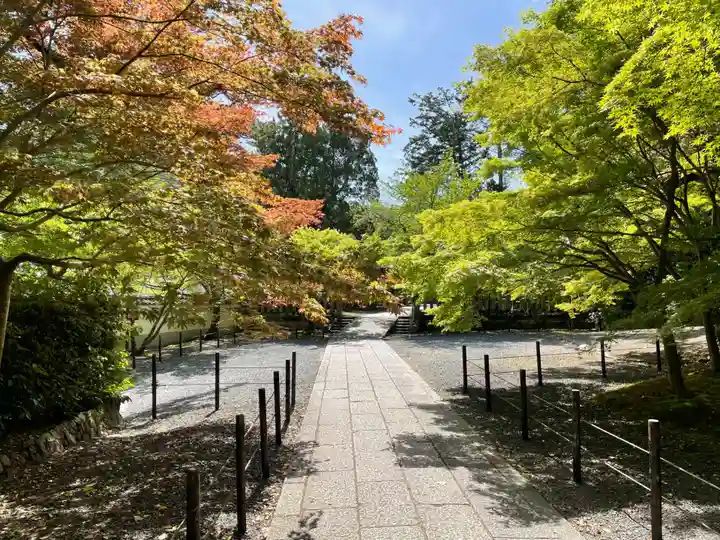光明寺(粟生光明寺)(京都府)