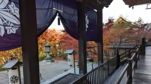 禅林寺（永観堂）(京都府)