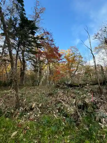戸隠神社九頭龍社(長野県)