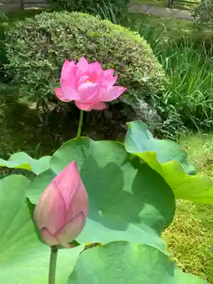 法金剛院(京都府)