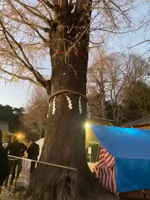 春日部八幡神社(埼玉県)