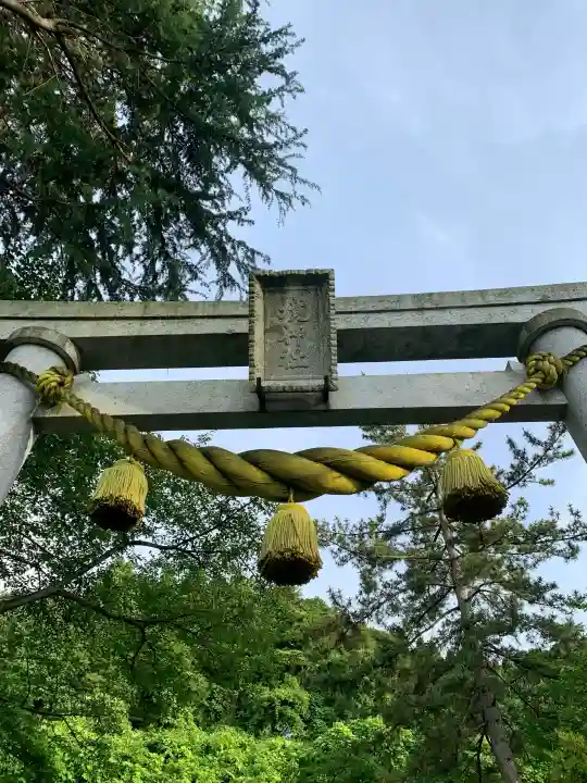 護国寺の{uncategorized: "未分類", other: "その他", undefined: "問題あり", building: "その他建物", grave: "お墓", sacred_gate: "鳥居", guardian: "狛犬", statue: "像", buddha: "仏像", history: "歴史", nature: "自然", garden: "庭園", animal: "動物", pagoda: "塔", temizu: "手水舎", mountain_gate: "山門・神門", sanctuary: "本殿・本堂", subordinate: "末社・摂社", art: "芸術", scenery: "景色", jizo: "地蔵", ema: "絵馬", goshuin: "御朱印", omikuji: "おみくじ", items: "授与品その他", amulet: "お守り", goshuincho: "御朱印帳", eats: "食事", festival: "お祭り", votive_dance: "神楽", shichigosan: "七五三参", wedding: "結婚式", experience: "体験その他", initially: "初詣", around: "周辺", anti_infection: "感染症対策"}