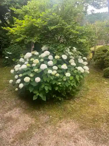 隆国寺(兵庫県)