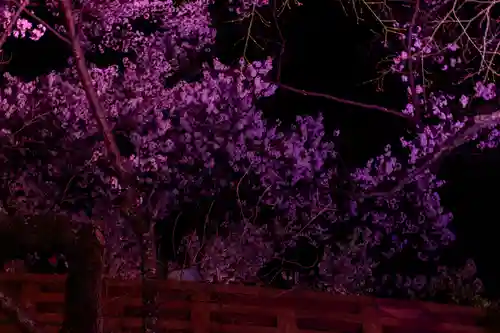 新城藤原神社(長野県)