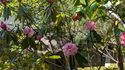 仁和寺(京都府)