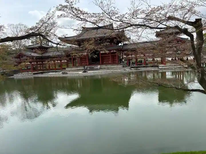 平等院の{uncategorized: "未分類", other: "その他", undefined: "問題あり", building: "その他建物", grave: "お墓", sacred_gate: "鳥居", guardian: "狛犬", statue: "像", buddha: "仏像", history: "歴史", nature: "自然", garden: "庭園", animal: "動物", pagoda: "塔", temizu: "手水舎", mountain_gate: "山門・神門", sanctuary: "本殿・本堂", subordinate: "末社・摂社", art: "芸術", scenery: "景色", jizo: "地蔵", ema: "絵馬", goshuin: "御朱印", omikuji: "おみくじ", items: "授与品その他", amulet: "お守り", goshuincho: "御朱印帳", eats: "食事", festival: "お祭り", votive_dance: "神楽", shichigosan: "七五三参", wedding: "結婚式", experience: "体験その他", initially: "初詣", around: "周辺", anti_infection: "感染症対策"}