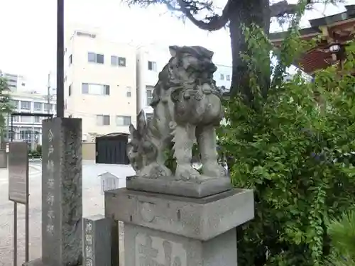 今戸神社の狛犬