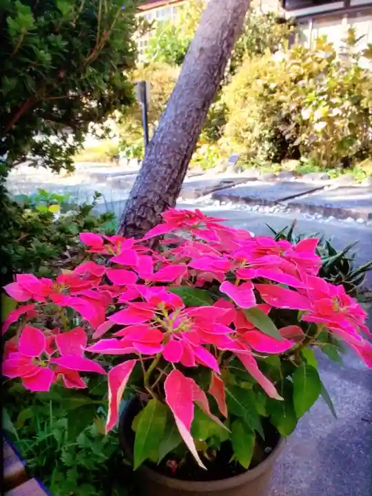 本郷氷川神社(東京都)