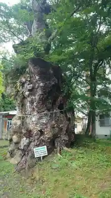 花石神社(栃木県)