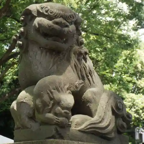 丸子山王日枝神社の狛犬