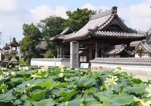 雲龍山 本證寺の御朱印