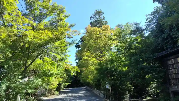 鍬山神社(京都府)