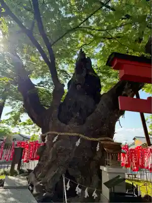 秩父今宮神社(埼玉県)