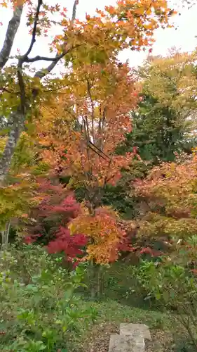 石都々古和気神社の自然
