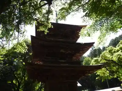 清滝寺徳源院(滋賀県)