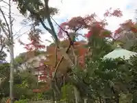 浄光明寺(神奈川県)