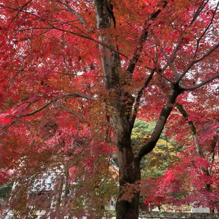 意冨布良神社(滋賀県)