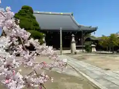 妙顯寺（妙顕寺）(京都府)