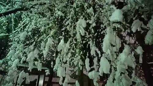 下野國一社八幡宮(栃木県)