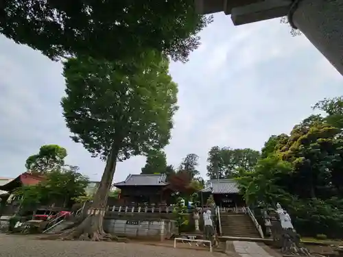 瀧宮神社(埼玉県)