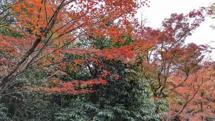 浄住寺(京都府)