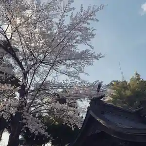 豊景神社の自然(2021年04月07日(水) 06時24分03秒投稿)