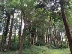 瀧口神社の建物その他