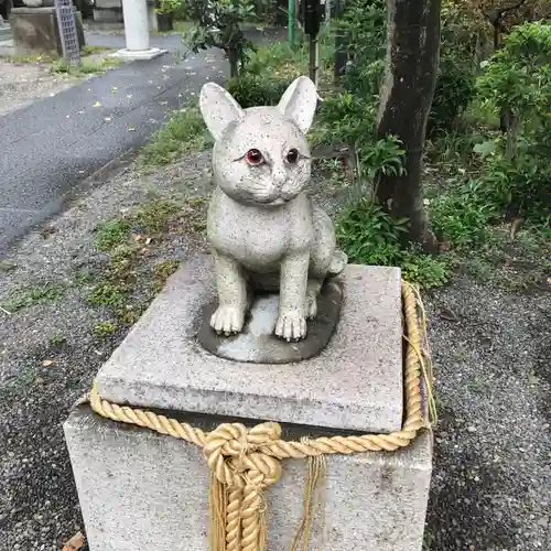 阿豆佐味天神社 立川水天宮の狛犬