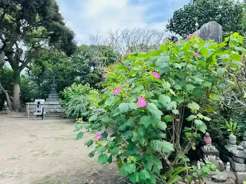 宝戒寺(神奈川県)