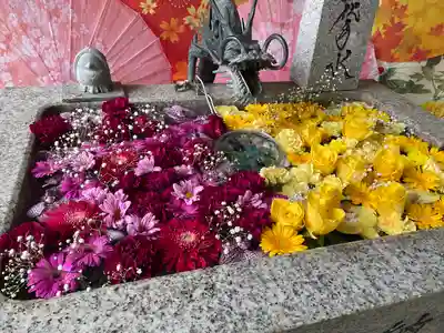 札幌諏訪神社の手水舎