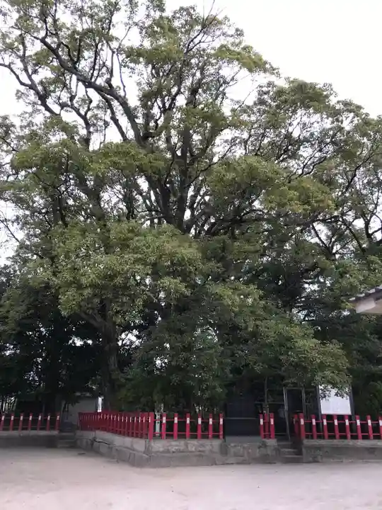 一之宮神社の自然