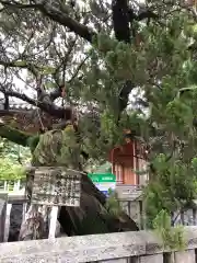 高砂神社の自然