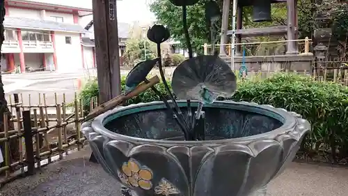 新井薬師（梅照院）の手水舎