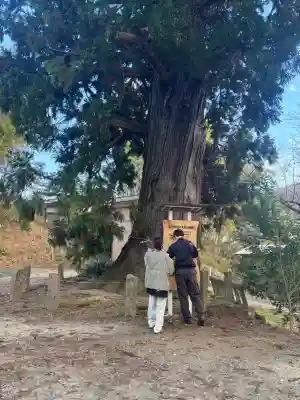 春日神社(福島県)