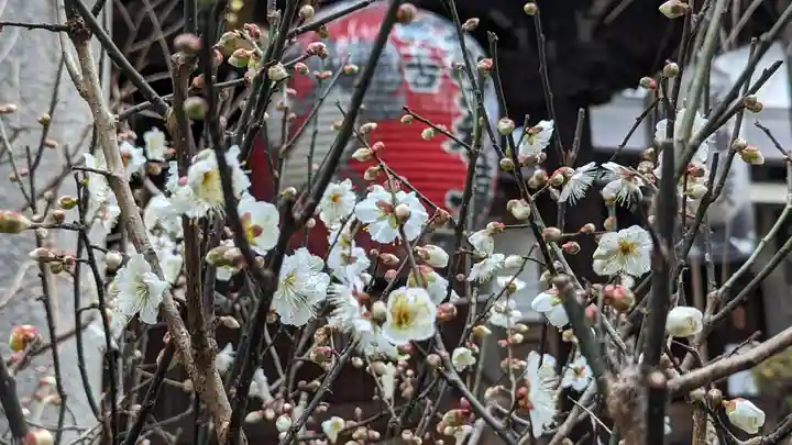 雨宝院(京都府)