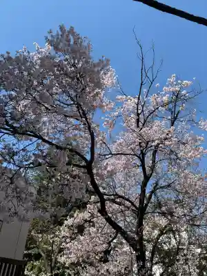 花園神社の{uncategorized: "未分類", other: "その他", undefined: "問題あり", building: "その他建物", grave: "お墓", sacred_gate: "鳥居", guardian: "狛犬", statue: "像", buddha: "仏像", history: "歴史", nature: "自然", garden: "庭園", animal: "動物", pagoda: "塔", temizu: "手水舎", mountain_gate: "山門・神門", sanctuary: "本殿・本堂", subordinate: "末社・摂社", art: "芸術", scenery: "景色", jizo: "地蔵", ema: "絵馬", goshuin: "御朱印", omikuji: "おみくじ", items: "授与品その他", amulet: "お守り", goshuincho: "御朱印帳", eats: "食事", festival: "お祭り", votive_dance: "神楽", shichigosan: "七五三参", wedding: "結婚式", experience: "体験その他", initially: "初詣", around: "周辺", anti_infection: "感染症対策"}