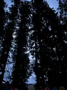 大宮温泉神社(栃木県)(2023年02月03日(金) 08時11分02秒投稿)