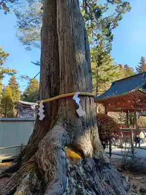 北口本宮冨士浅間神社(山梨県)