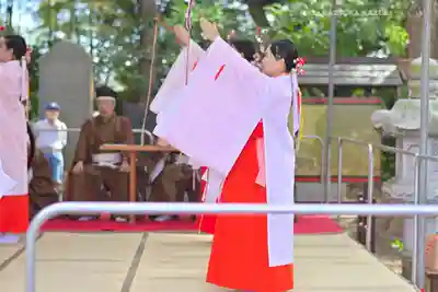 大宮・大原神社(千葉県)