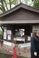 鹿児島神宮(鹿児島県)