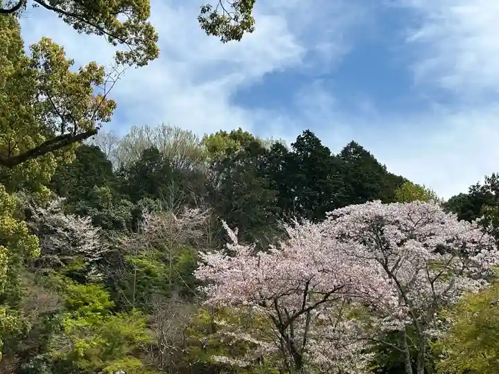 三宅八幡宮(京都府)