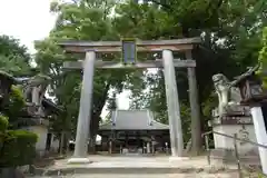 大神神社の鳥居