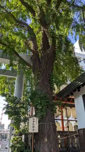 波除神社（波除稲荷神社）(東京都)